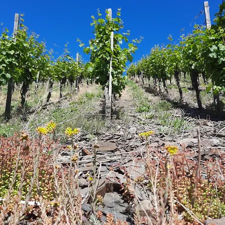 Bei Blesers Lägenhet Treis-Karden