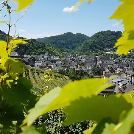 Apartamento Bei Blesers Treis-Karden