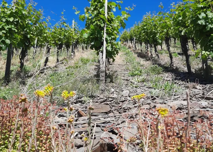 Bei Blesers Apartament Treis-Karden