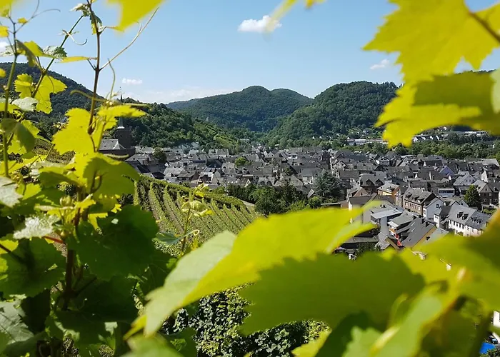 Apartament Bei Blesers Treis-Karden