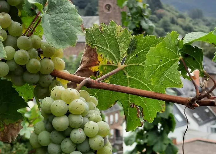 Apartament Bei Blesers